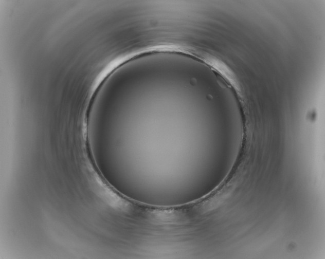 X0000091861428200709051158