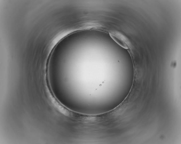 X0000091861431200709051158