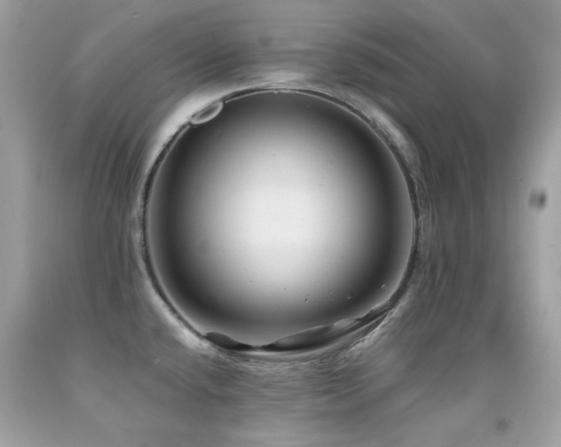 X0000091861432200709051158
