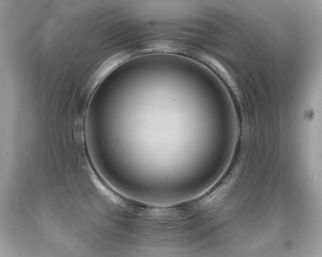 X0000091861433200709051158