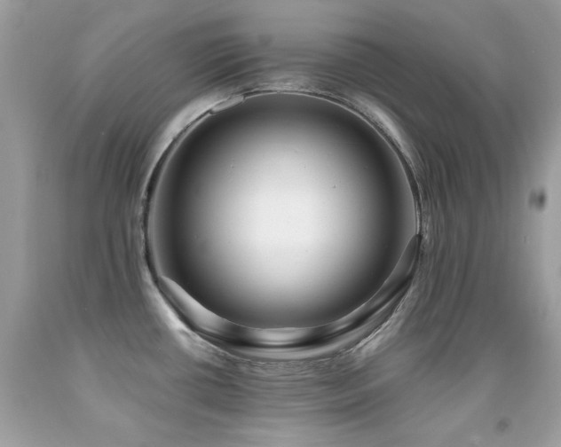 X0000091861434200709051158