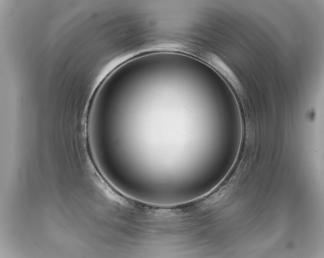 X0000091861436200709051158