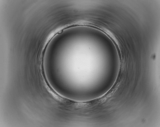 X0000091861437200709051158