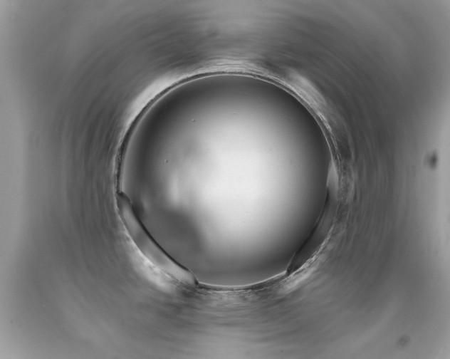 X0000091861438200709051158