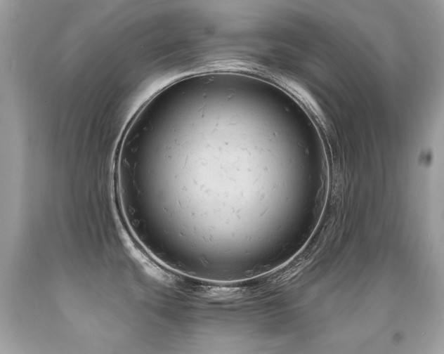 X0000091861439200709051158