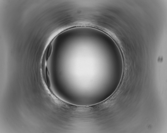 X0000091861440200709051158