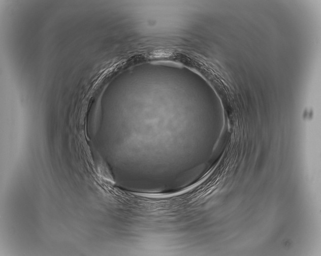 X0000091861441200709051157