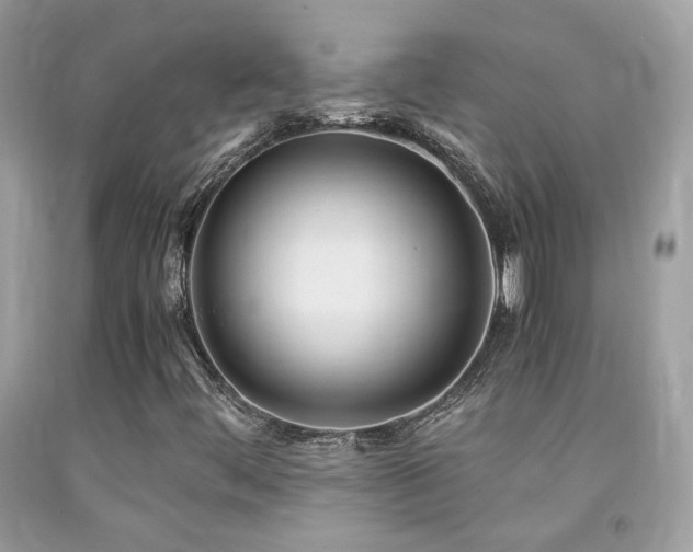 X0000091861444200709051157