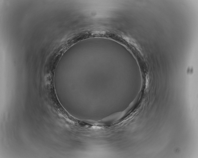 X0000091861445200709051157