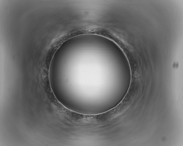 X0000091861447200709051157