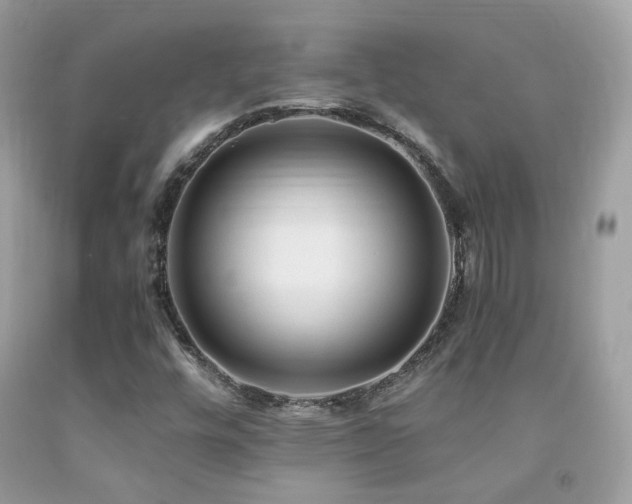 X0000091861448200709051157