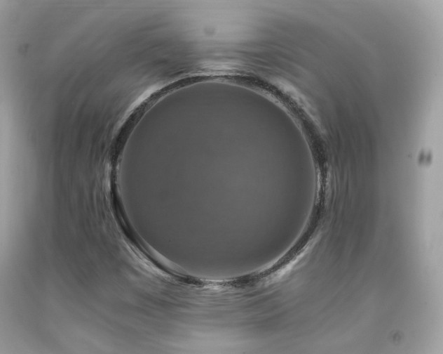 X0000091861449200709051157