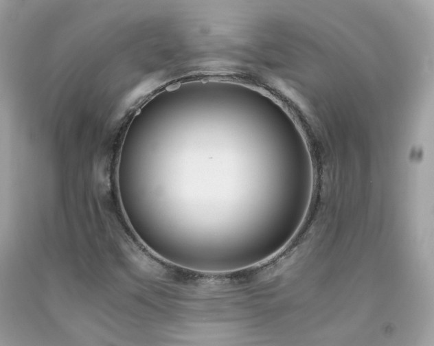 X0000091861451200709051157