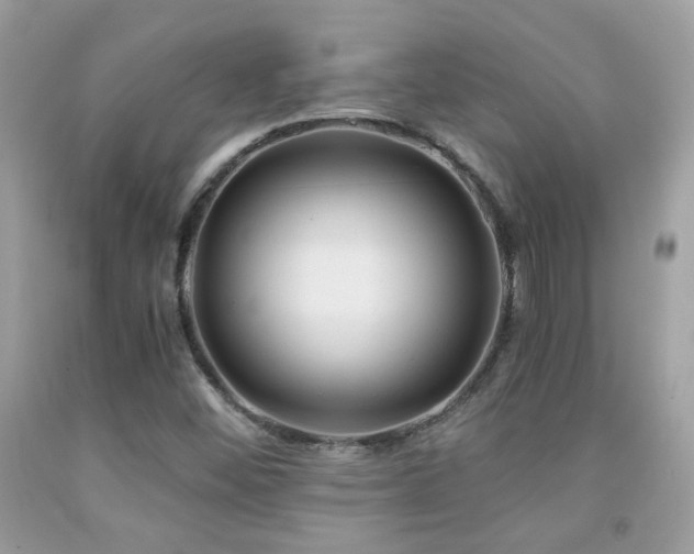 X0000091861452200709051157