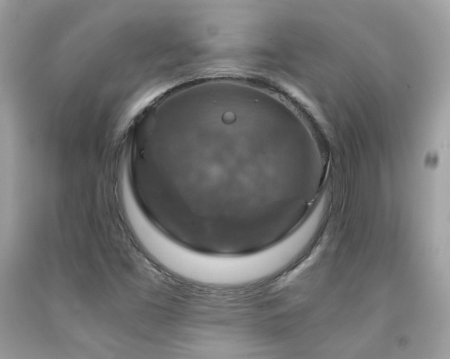 X0000091861453200709051157
