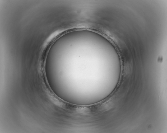 X0000091861454200709051157