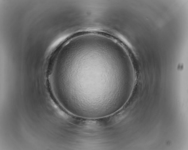 X0000091861456200709051157