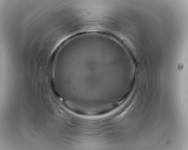 X0000091861457200709051157