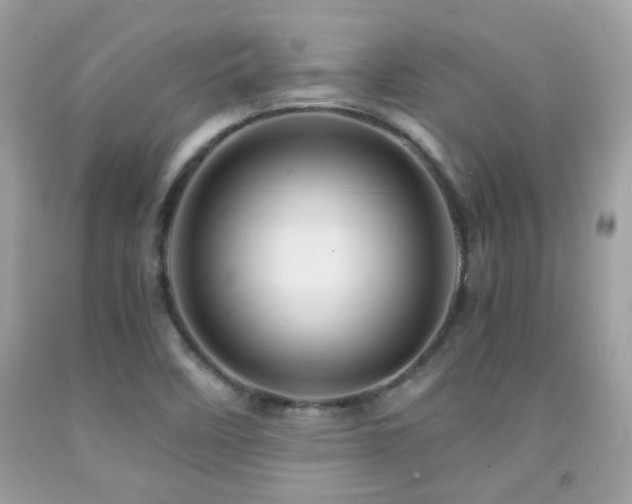 X0000091861458200709051157