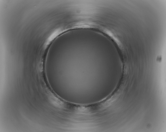 X0000091861459200709051157