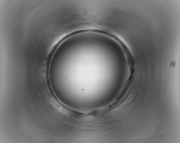 X0000091861460200709051157