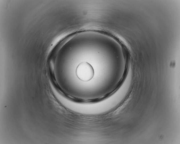 X0000091861461200709051157