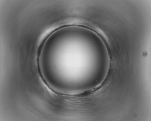 X0000091861464200709051157
