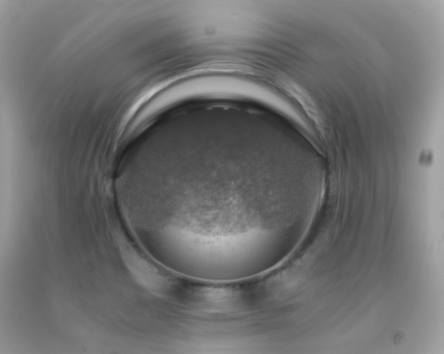 X0000091861465200709051157
