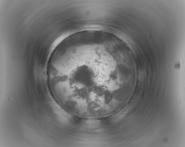 X0000091861466200709051157
