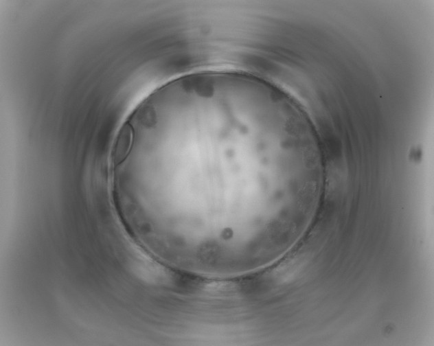 X0000091861467200709051157