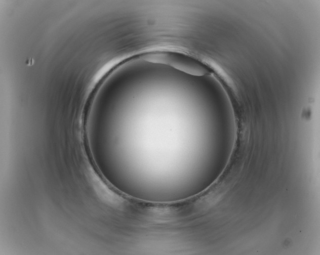 X0000091861468200709051157
