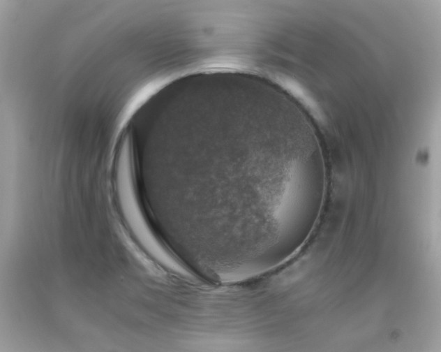 X0000091861469200709051157