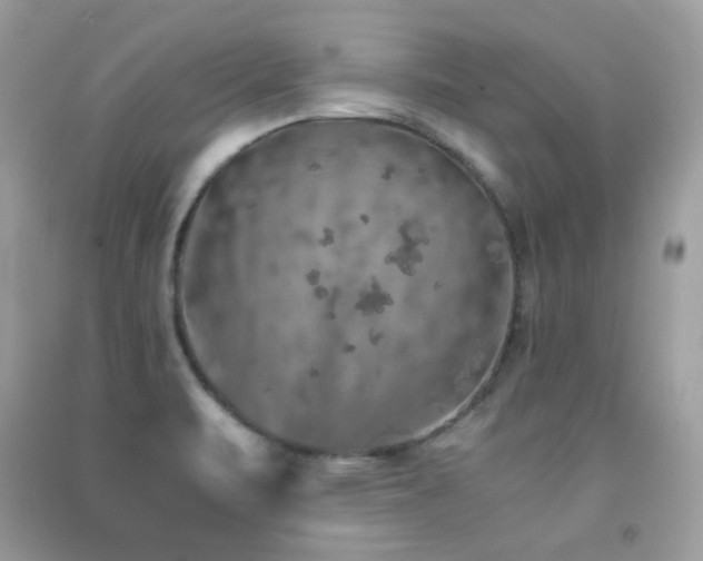 X0000091861471200709051157