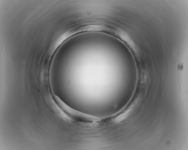 X0000091861473200709051157
