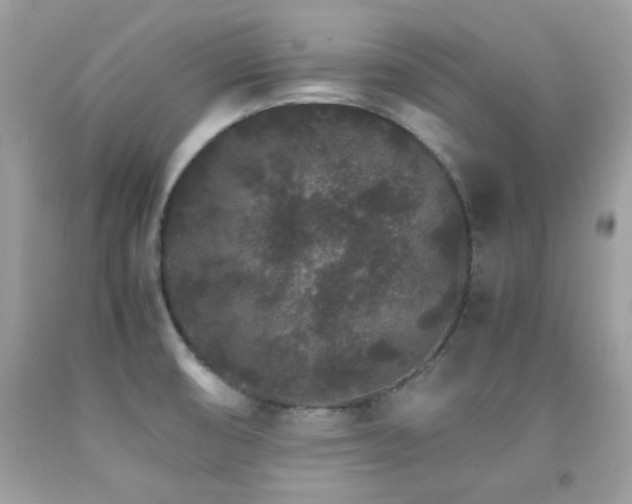 X0000091861474200709051157