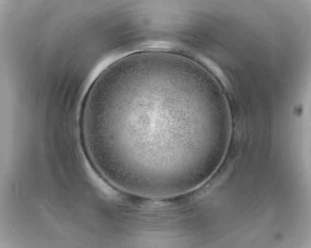 X0000091861475200709051157