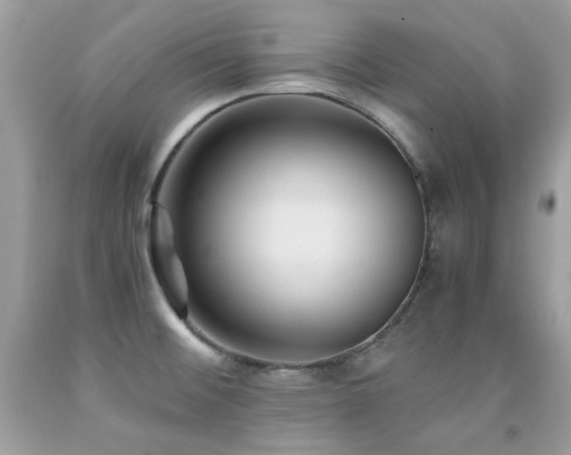 X0000091861476200709051157