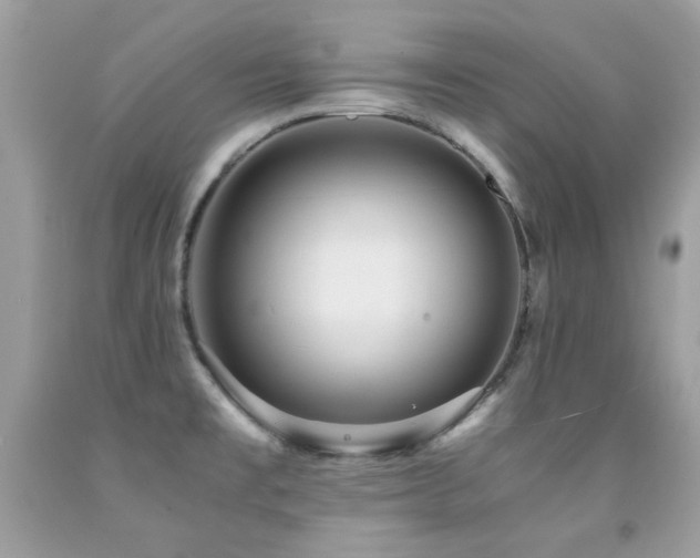 X0000091861477200709051157
