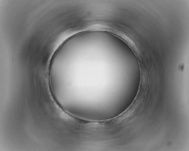 X0000091861478200709051157