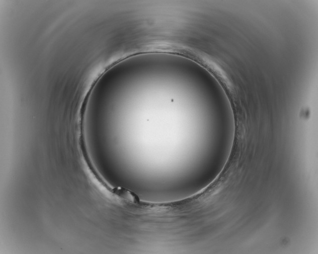 X0000091861479200709051157
