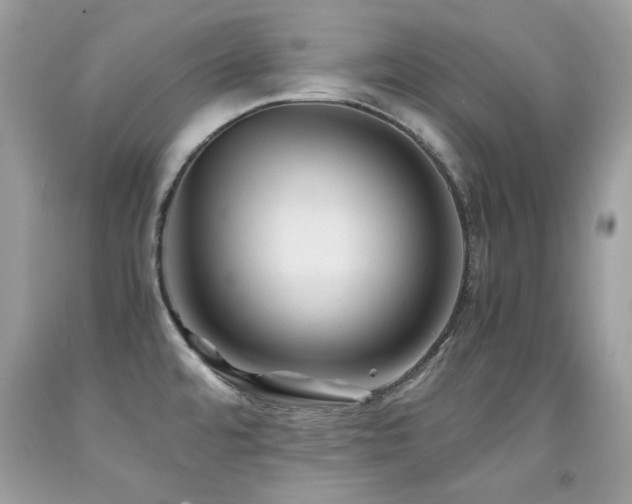 X0000091861480200709051157
