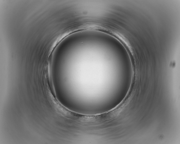 X0000091861481200709051157