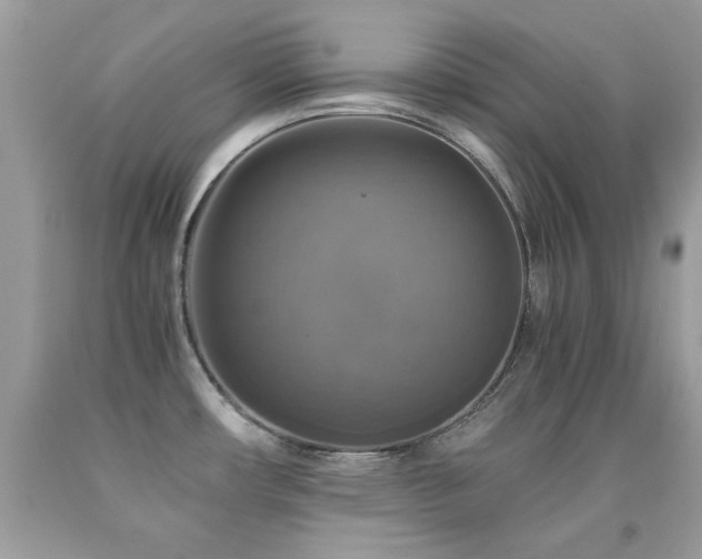 X0000091861482200709051157