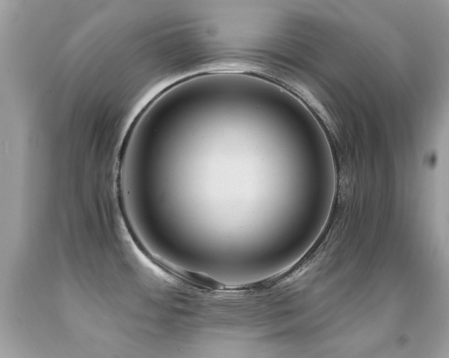 X0000091861484200709051157