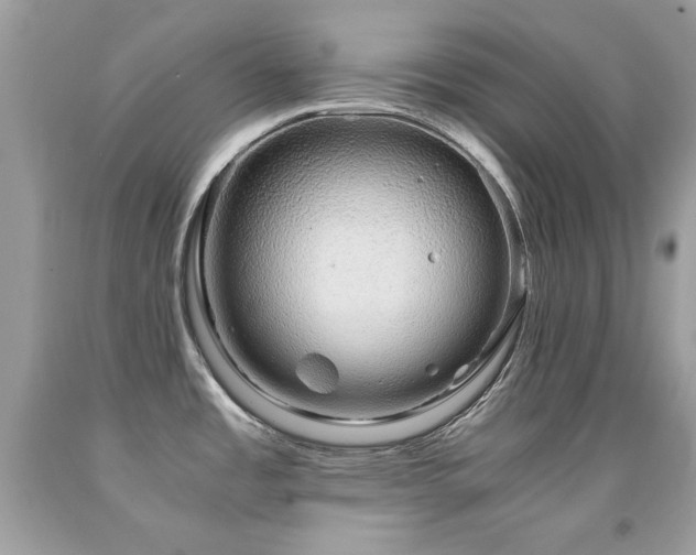 X0000091861485200709051157