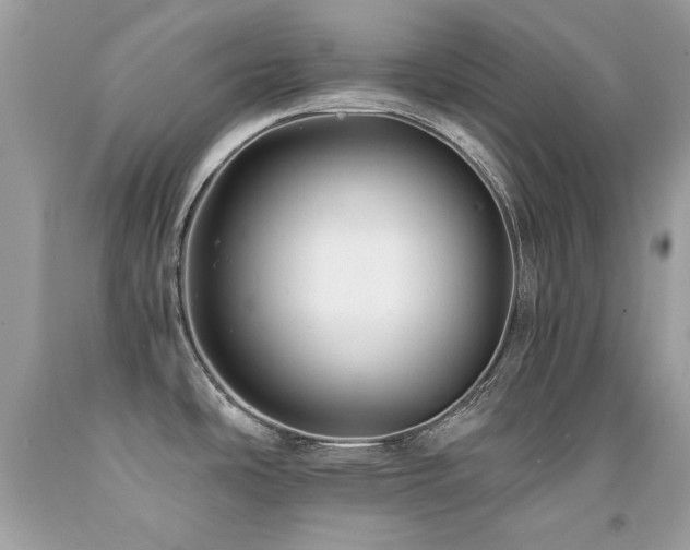 X0000091861486200709051157