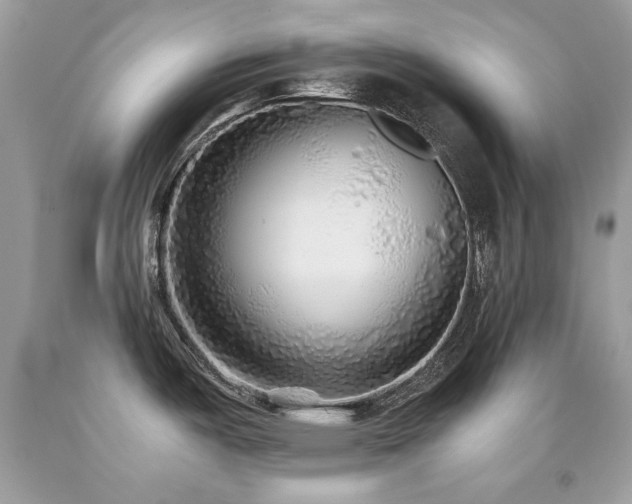 X0000091861487200709051157