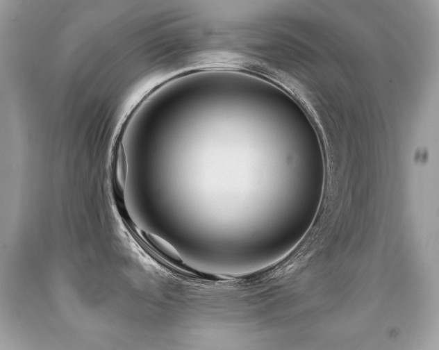 X0000091861488200709051157