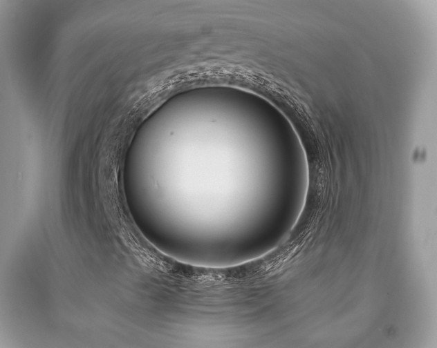 X0000091861489200709051156