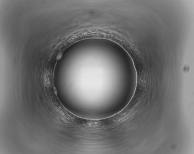 X0000091861490200709051156